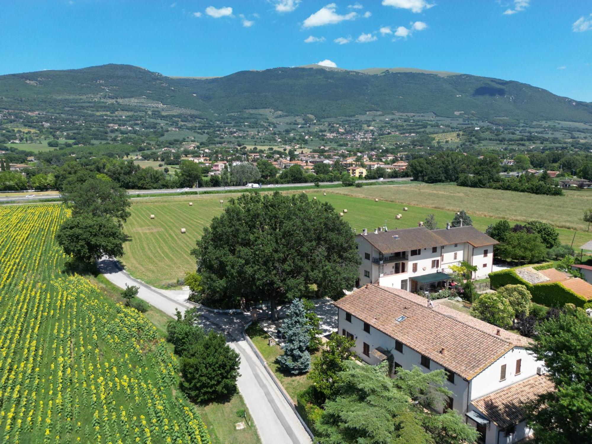 Il Quercione Agriturismo Ривоторто Экстерьер фото