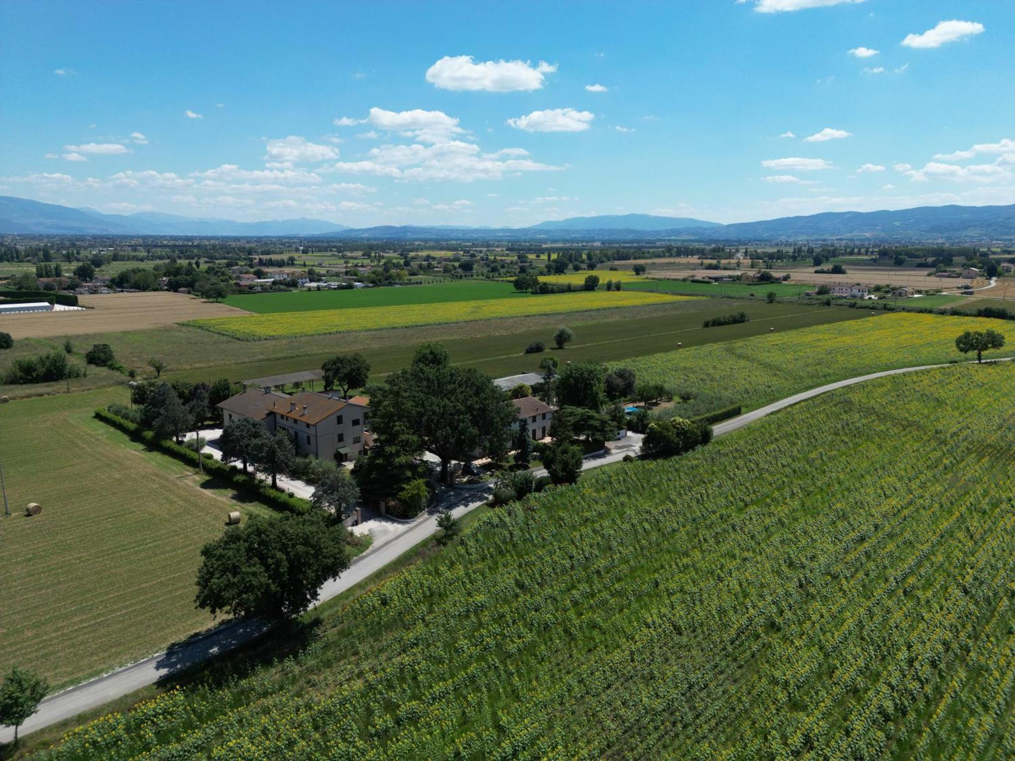Il Quercione Agriturismo Ривоторто Экстерьер фото