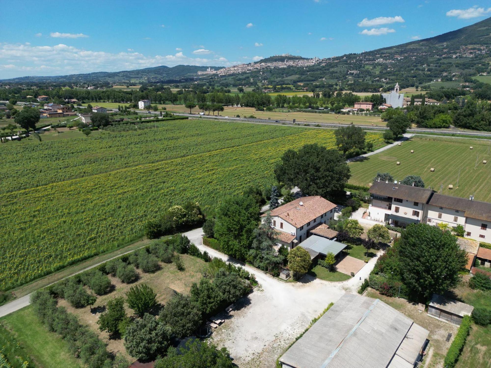 Il Quercione Agriturismo Ривоторто Экстерьер фото